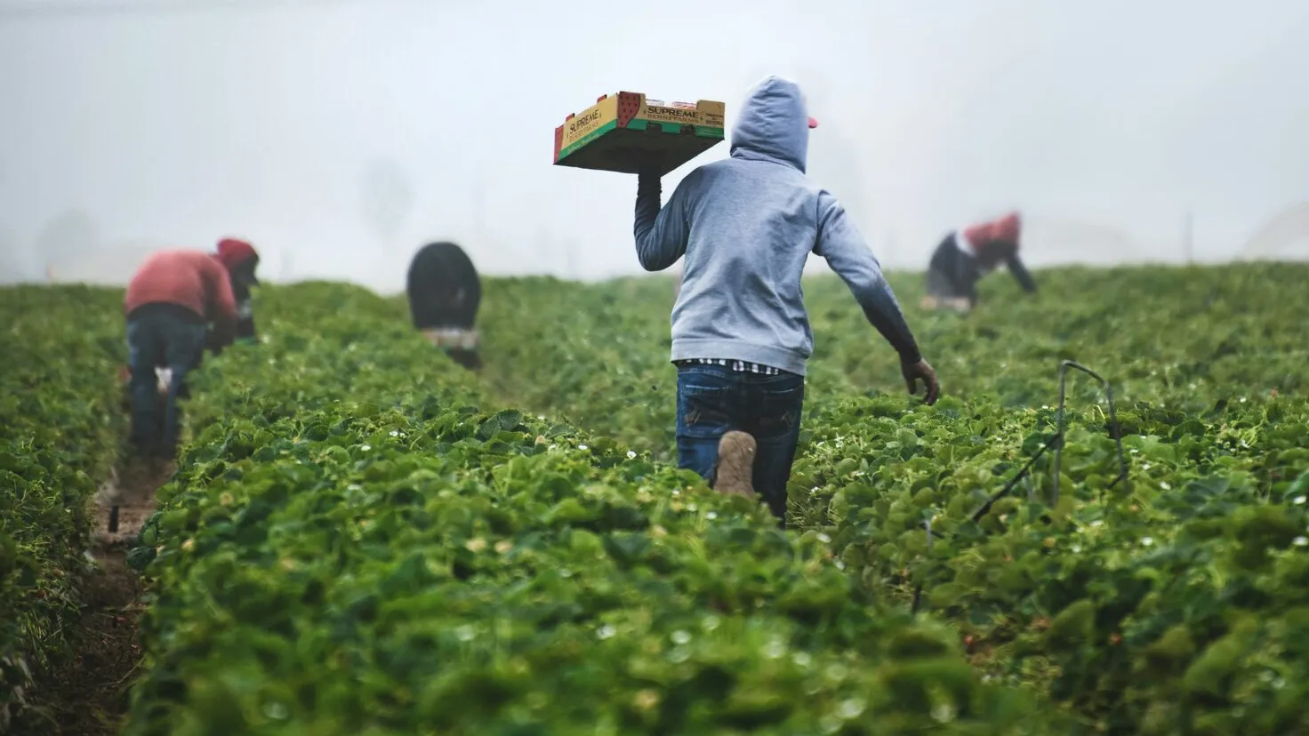 man in gray hoodie in a field holding a cardboard box