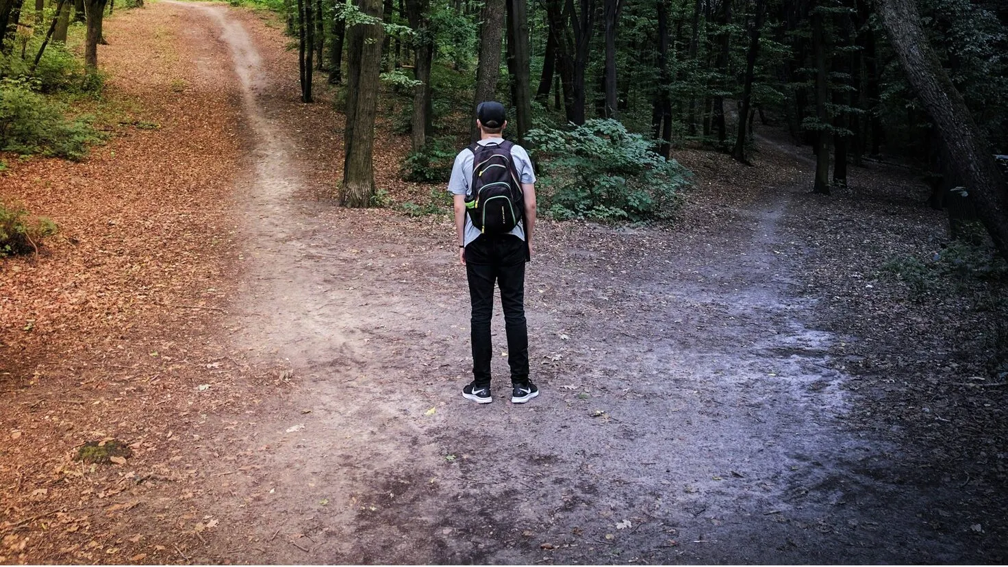 man standing at a forked path in the woods